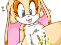 ah_1231995693639_toon_1231973564639_269091_-_Cream_the_Rabbit_perverted_bunny_Sonic_Team.png